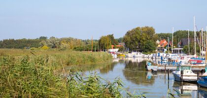 Kleiner Flusshafen mit Sportbooten. links großes Schilffeld