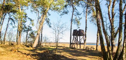 Aussichtsturm im Wald vor Schilfgürtel am Bodden. Weiter Blick
